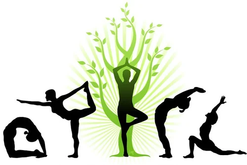 yoga-classes-in-pitampura-500×500